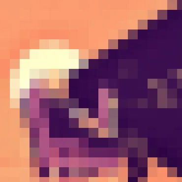 星空体育APP